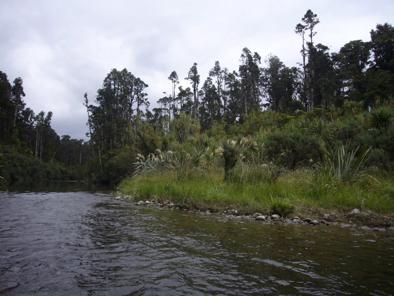 Travel - New Zealand - West Coast - Okarito